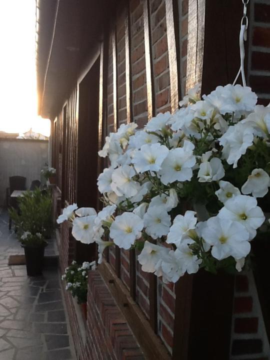 Les Chambres De Paule Thieulloy-l'Abbaye 外观 照片
